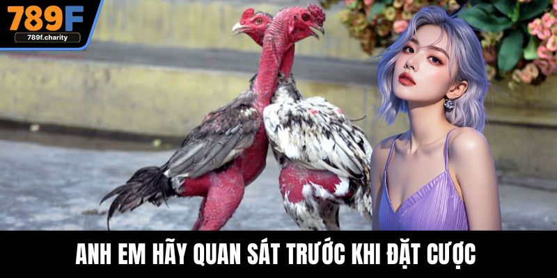 Anh em hãy quan sát trước khi đặt cược 