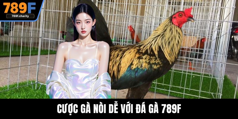 Cược gà nòi dễ với đá gà 789F