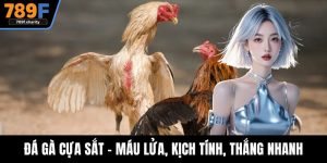 Đá Gà Cựa Sắt - Máu Lửa, Kịch Tính, Thắng Nhanh Tại 789F