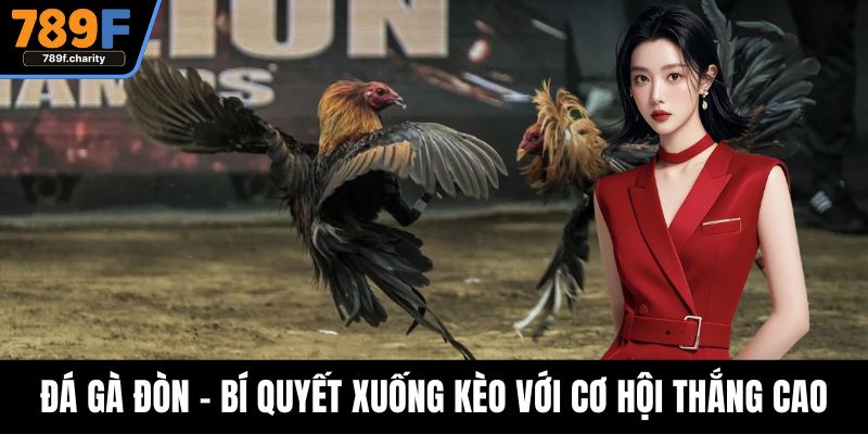 Đá Gà Đòn - Bí Quyết Xuống Kèo Với Cơ Hội Thắng Cực Cao