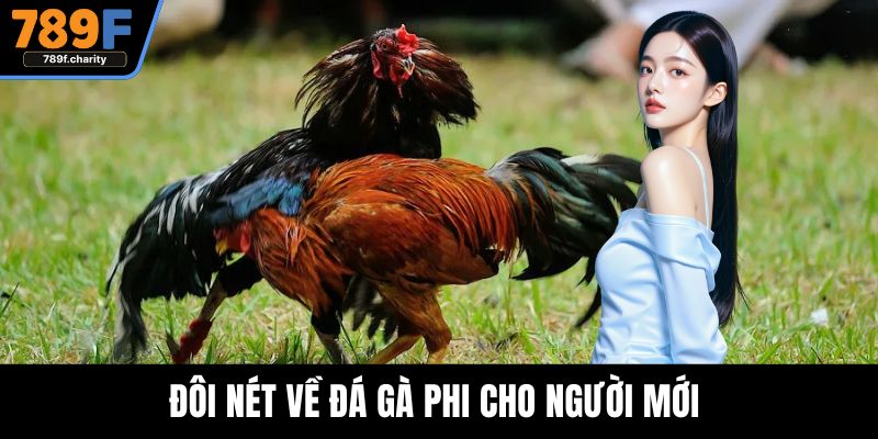 Đôi nét về đá gà phi cho người mới 