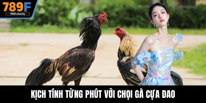 Kịch tính từng phút với chọi gà cựa dao