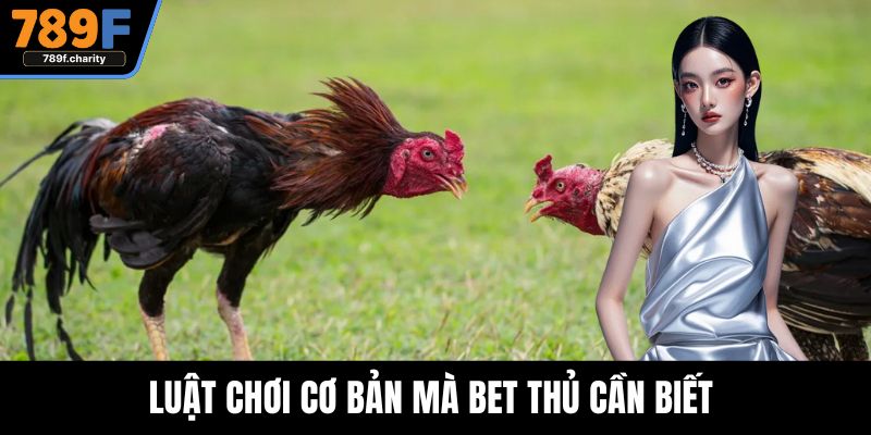 Luật chơi cơ bản mà bet thủ cần biết 