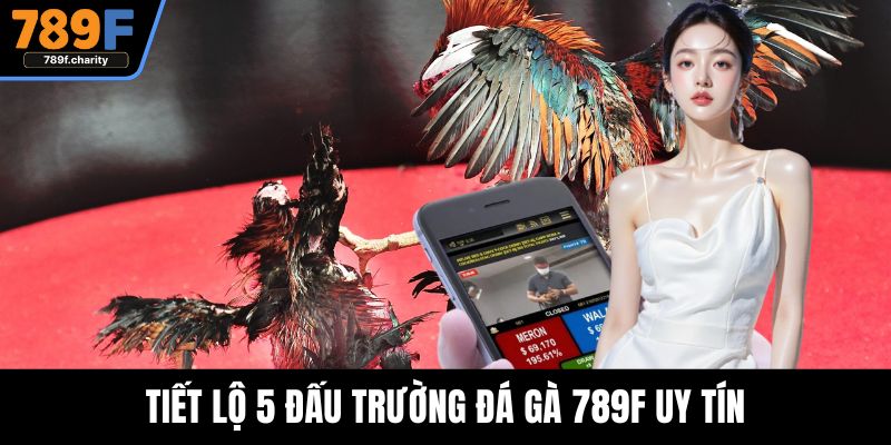 Tiết lộ 5 đấu trường đá gà 789F uy tín