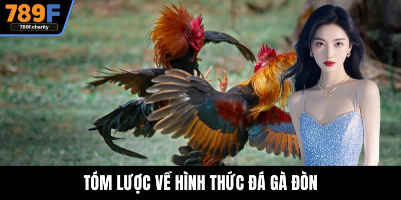 Tóm lược về hình thức đá gà đòn